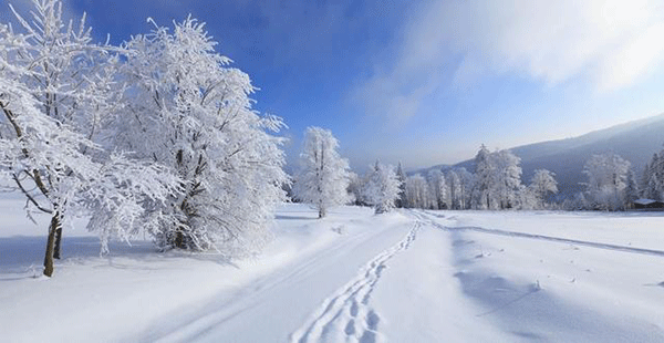 大雪夜襲，綜管保安全