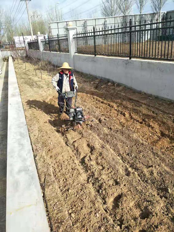 春暖花開耕種忙  大地飛歌氣象新